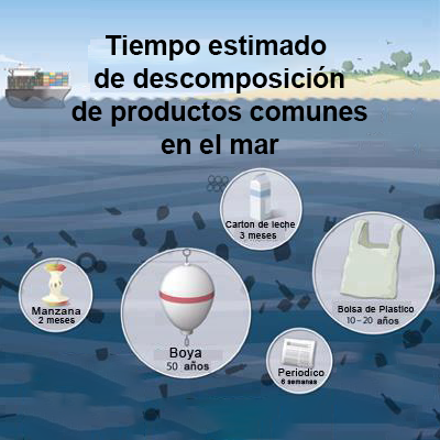 Cartel tiempo estimado de descomposición de productos comunes en el mar