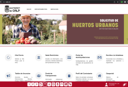 Web accesible Ayuntamiento de Calp